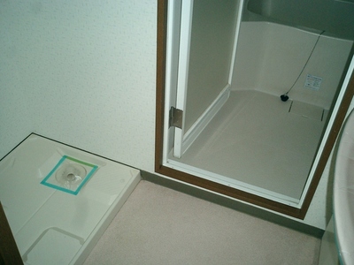 Washroom. Washing machine Storage