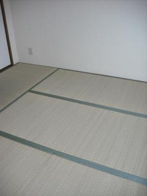 Other. Japanese style room