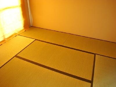 Other room space. Japanese style room