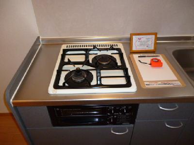 Other Equipment. Gas stove 2-neck