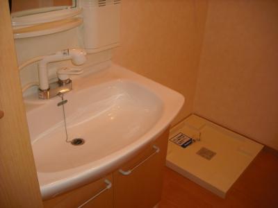 Washroom. Shampoo dresser