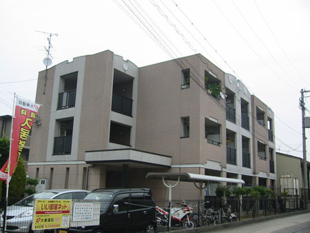 Other. Appearance 2