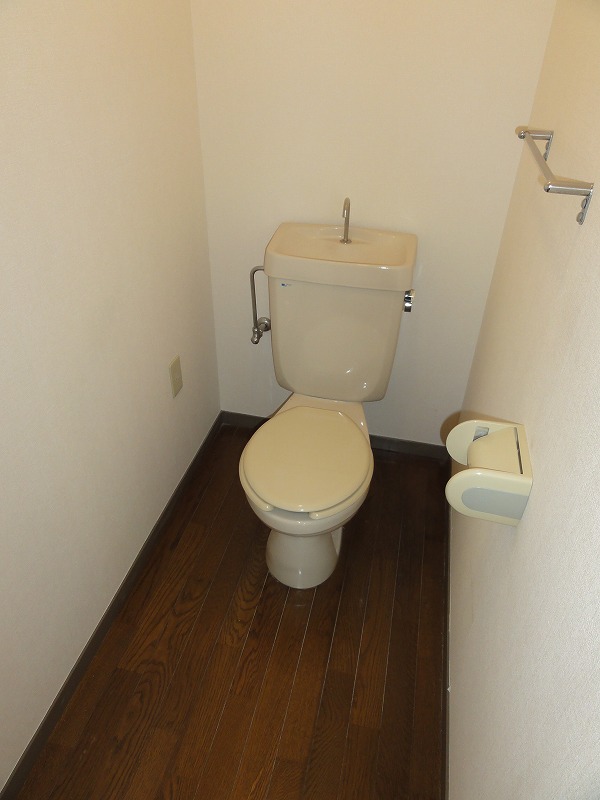 Toilet. Toilet