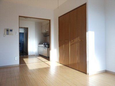 Living and room. Sunny