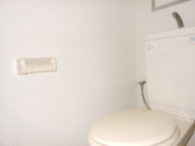 Toilet. Beautiful toilet