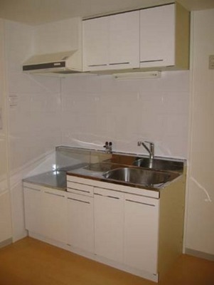 Kitchen. Also impetus dishes in 2 lot gas stoves installed Allowed