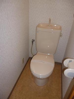 Other. Toilet