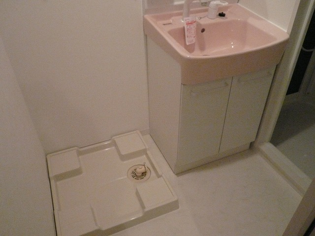 Washroom. Independent wash (shampoo dresser room laundry Storage