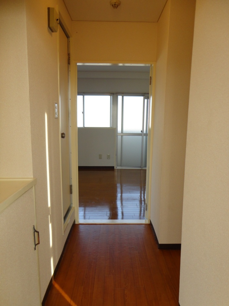 Entrance. Corridor