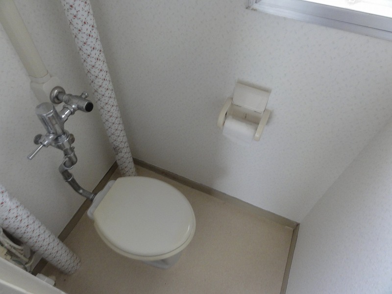 Toilet. Toilet