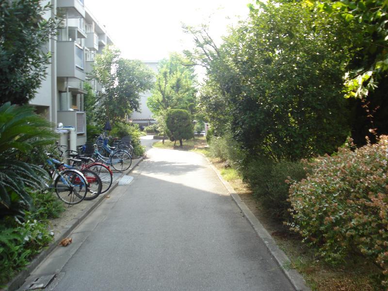 Other. Before road building