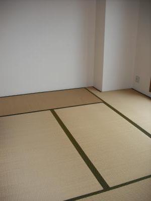 Other room space. Japanese style room
