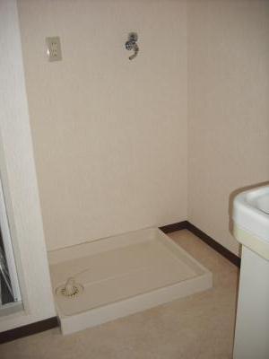 Washroom. Indoor laundry Storage