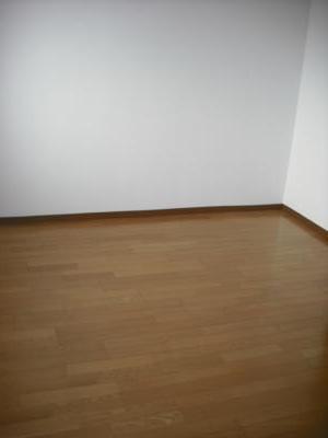 Other room space. Western style room