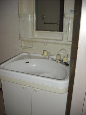 Washroom. Shampoo dresser