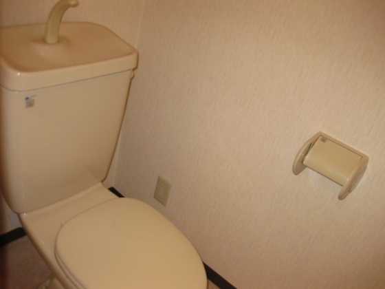 Other. Toilet