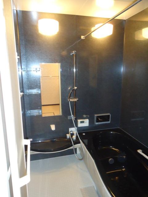 Bathroom. Indoor (10 May 2013) Shooting