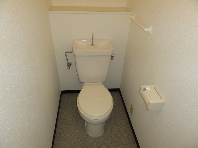 Toilet. Toilet shiny.