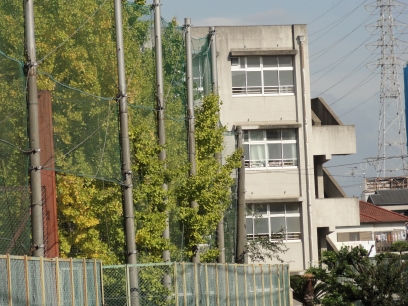 Junior high school. Sakaishiritsu Nakamozu 795m up to junior high school (junior high school)