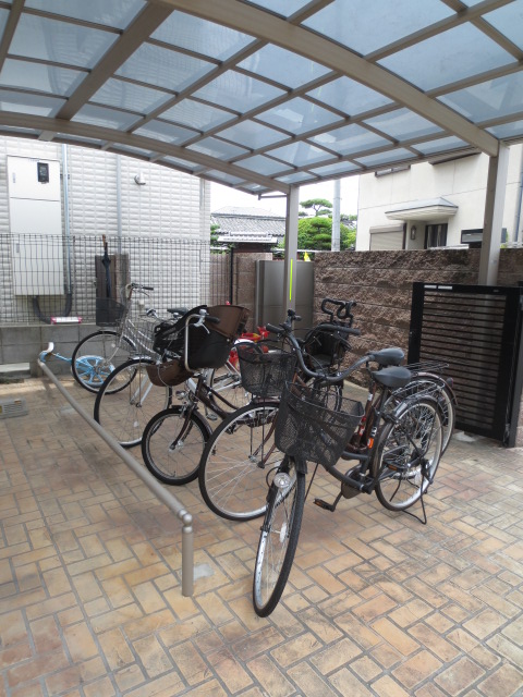 Parking lot. Bicycle-parking space