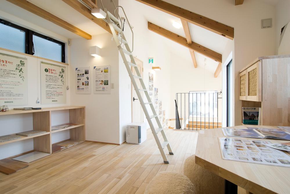 exhibition hall / Showroom. exhibition hall