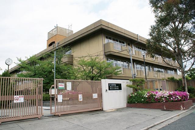 Primary school. Satsukino Gakuen Elementary School ・ 991m up to junior high school