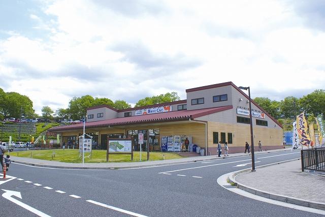 Other Environmental Photo. 2320m to Township Road Station swan