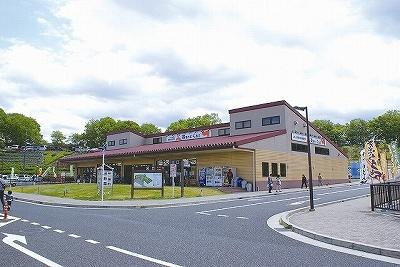 Other Environmental Photo. 2320m to Township Road Station swan