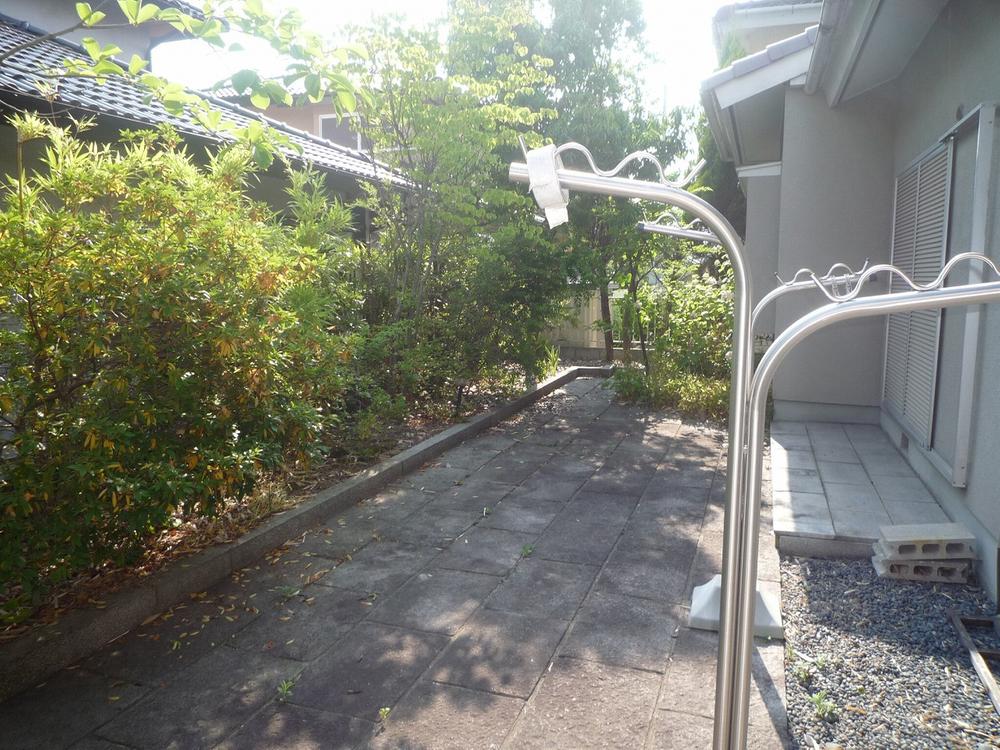 Garden. Local (June 2013) Shooting