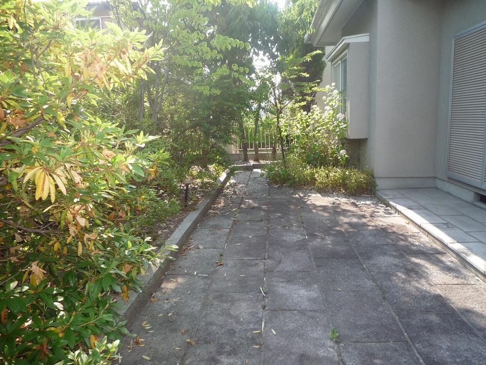 Garden. Local (June 2013) Shooting