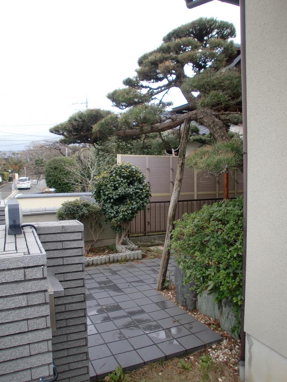 Entrance. Entrance around also space of room.