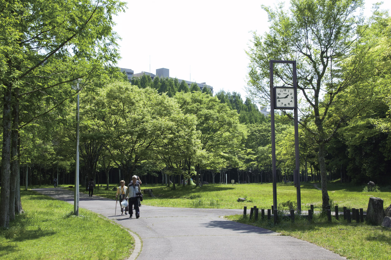 Other Environmental Photo. Until Kamodani park 2000m walk 25 minutes