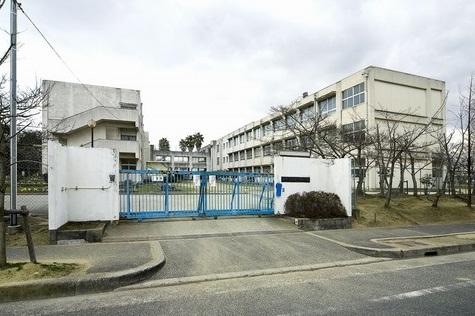 Junior high school. Sakai Tatsumi Northern until junior high school 1600m