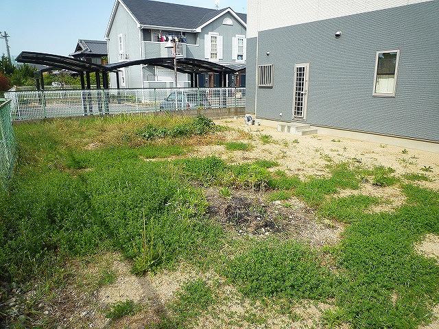 Other. West space (May 2013 shooting) home garden, Gardening, etc. Feel free to