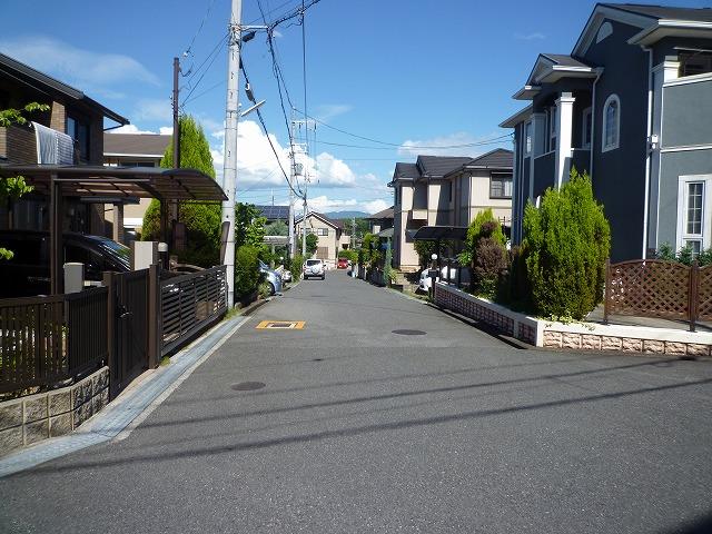 Local photos, including front road. Local (July 2012) shooting