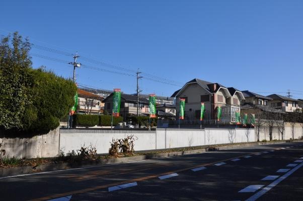 Local photos, including front road. South Municipal road width about 12m