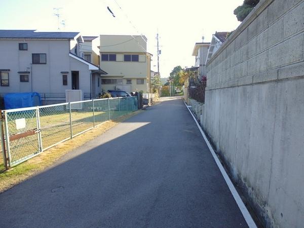 Local photos, including front road