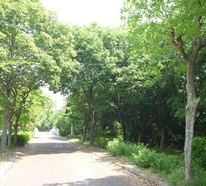 park. 900m to Shiroyama Park