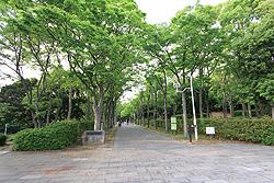 park. Nishihara 838m lush park to the park.