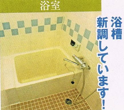 Bathroom. Tub had made