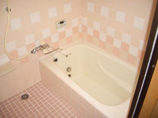 Bathroom. Local (July 2013) Shooting