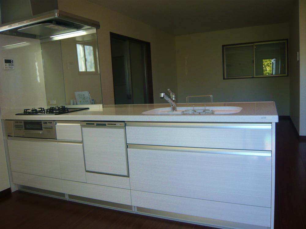 Kitchen. Dishwasher with a wide counter-integrated face-to-face kitchen