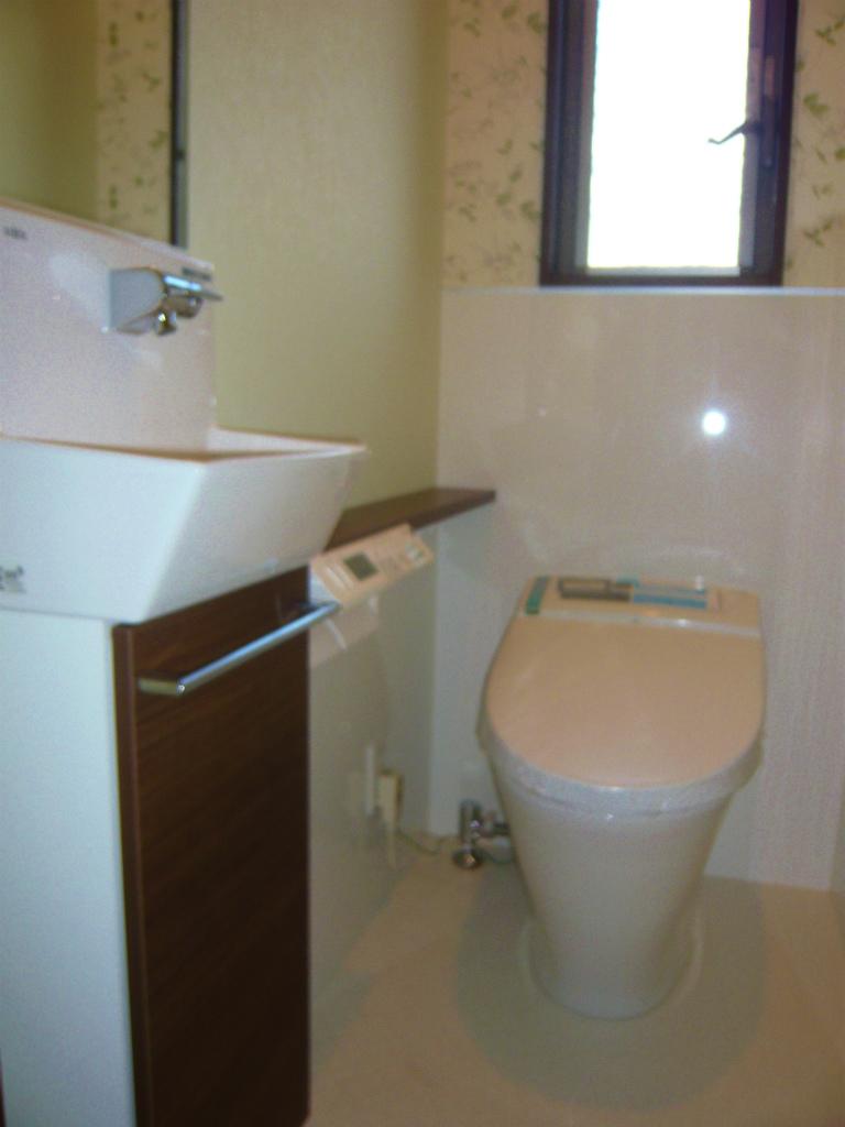 Toilet. Hand wash counter with toilet