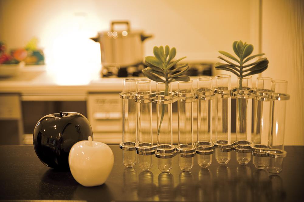 Model house photo. counter