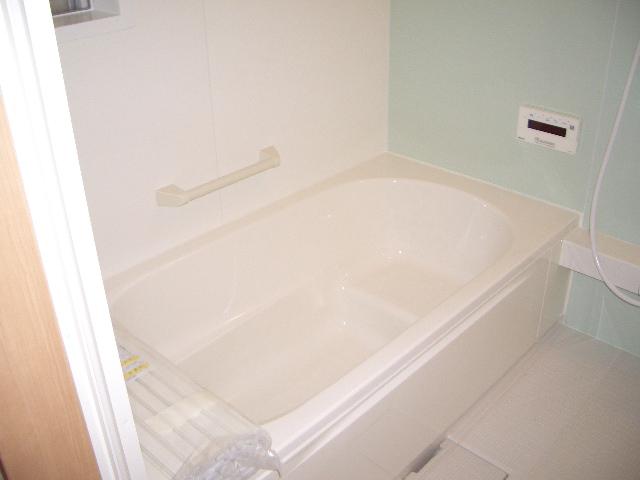 Bathroom. Indoor (11 May 2013) Shooting