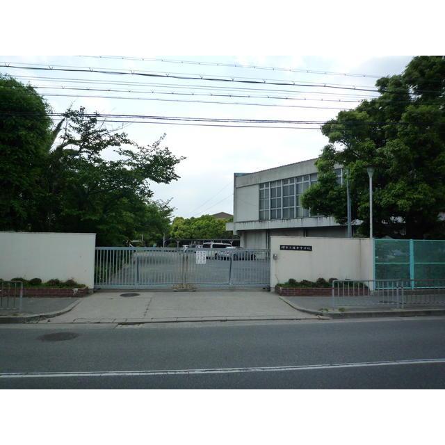 Junior high school. Deep 800m until junior high school