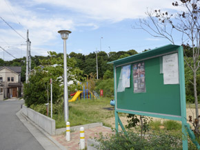 park. Town in the park