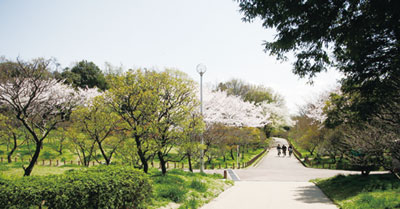 park. 2160m to Arayama park
