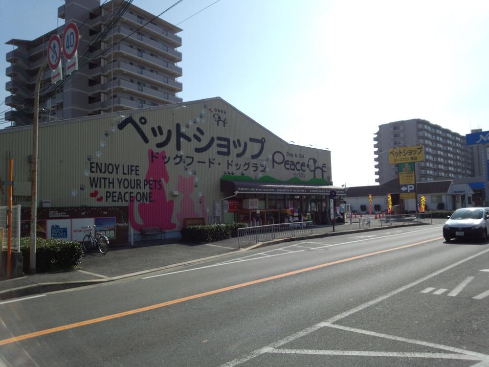 Other Environmental Photo. I am very happy for those who have been kept a 240m pet to pet shop