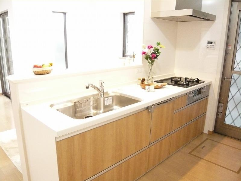 Kitchen. It is a clean kitchen with a dishwasher. Garbage soup also convenient even with back door